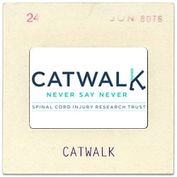 Catwalk Trust